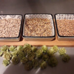 Malts et Houblon Malt et Houblon, Bières Microbrasserie Champfromier Ain